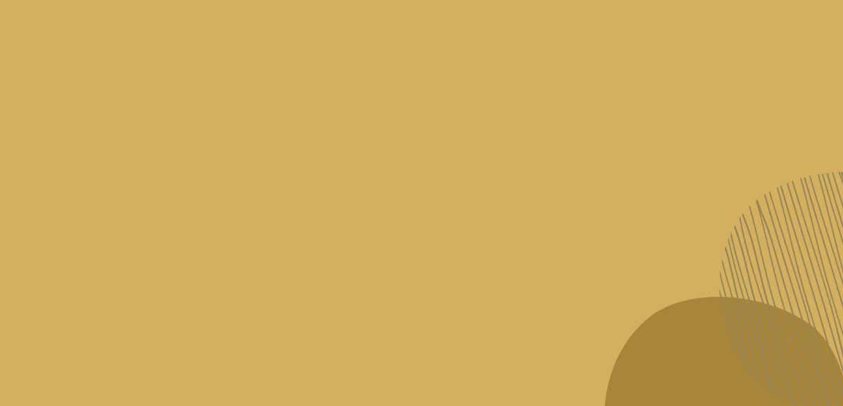 Expertise, Resume and Consultants of Mary R Ferguson